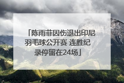 陈雨菲因伤退出印尼羽毛球公开赛 连胜纪录停留在24场