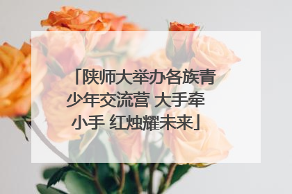 陕师大举办各族青少年交流营 大手牵小手 红烛耀未来