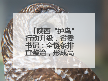 陕西“护鸟”行动升级，省委书记：全链条排查整治，形成高压震慑态势