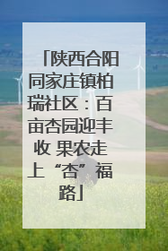陕西合阳同家庄镇柏瑞社区：百亩杏园迎丰收 果农走上“杏”福路