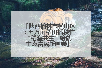 陕西榆林市横山区：五万亩稻田插秧忙 “稻渔共生”绘就生态富民新画卷