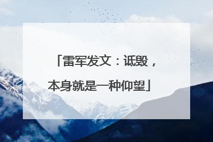 雷军发文：诋毁，本身就是一种仰望