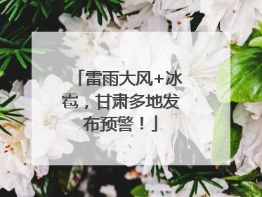 雷雨大风+冰雹，甘肃多地发布预警！