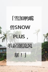 雪加鸭嘴兽SNOWPLUS，卷起潮流风暴！