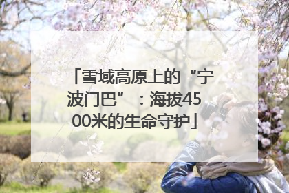 雪域高原上的“宁波门巴”：海拔4500米的生命守护