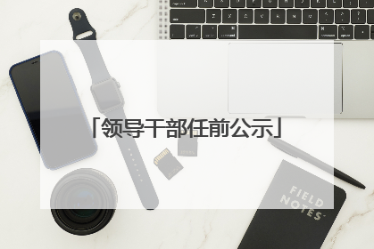 领导干部任前公示