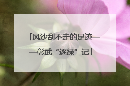 风沙刮不走的足迹——彰武“逐绿”记