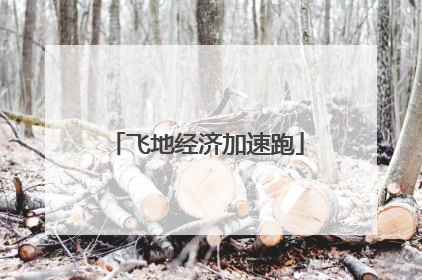 飞地经济加速跑