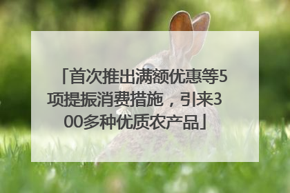 首次推出满额优惠等5项提振消费措施，引来300多种优质农产品