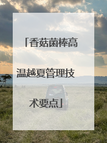 香菇菌棒高温越夏管理技术要点