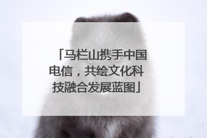 马栏山携手中国电信，共绘文化科技融合发展蓝图