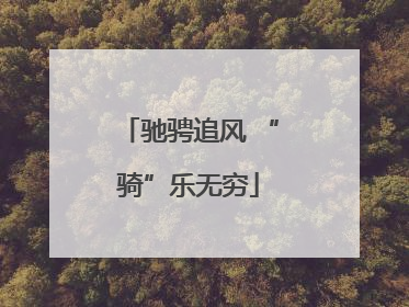 驰骋追风 “骑”乐无穷