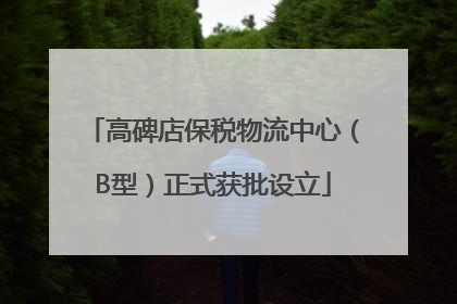 高碑店保税物流中心（B型）正式获批设立