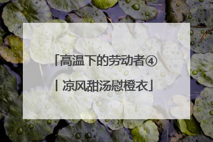 高温下的劳动者④丨凉风甜汤慰橙衣