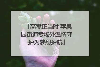 高考正当时 苹果园街道考场外温情守护为梦想护航