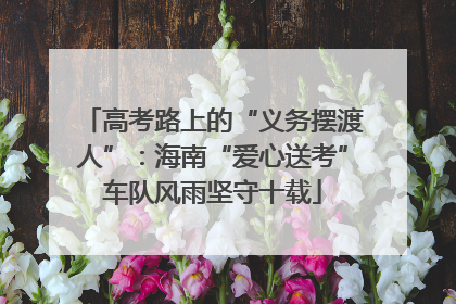 高考路上的“义务摆渡人”：海南“爱心送考”车队风雨坚守十载