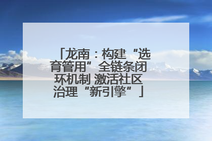 龙南：构建“选育管用”全链条闭环机制 激活社区治理“新引擎”