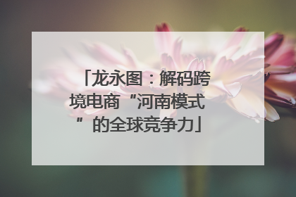 龙永图：解码跨境电商“河南模式”的全球竞争力