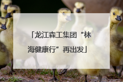 龙江森工集团“林海健康行”再出发