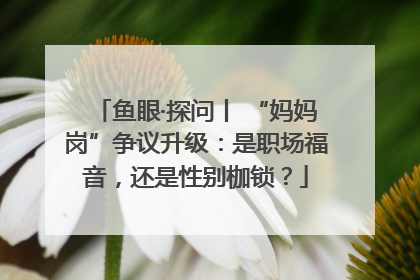 鱼眼·探问丨 “妈妈岗”争议升级：是职场福音，还是性别枷锁？