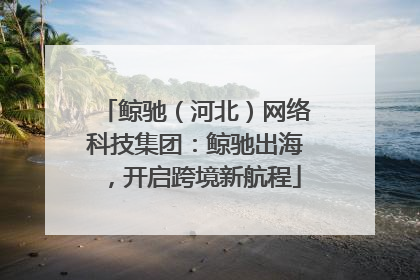 鲸驰（河北）网络科技集团：鲸驰出海，开启跨境新航程