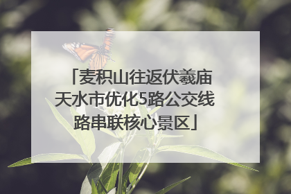 麦积山往返伏羲庙 天水市优化5路公交线路串联核心景区