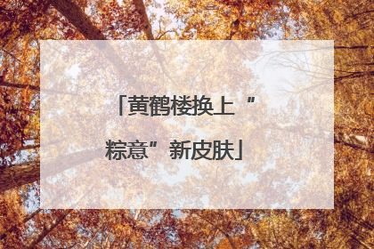 黄鹤楼换上“粽意”新皮肤