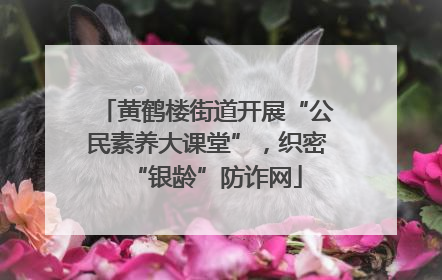 黄鹤楼街道开展“公民素养大课堂”，织密“银龄”防诈网