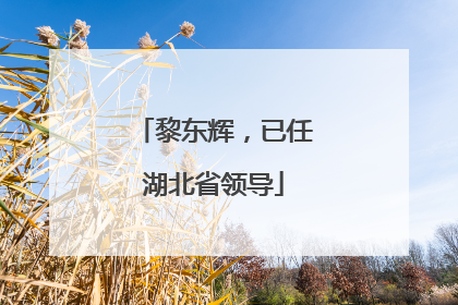 黎东辉，已任湖北省领导