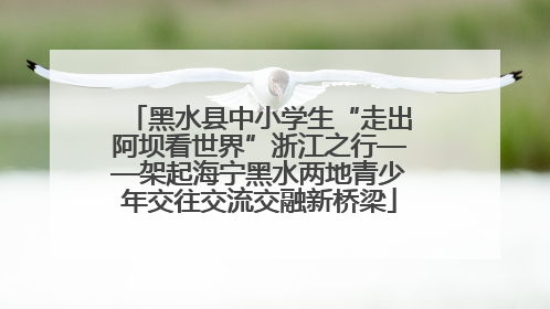 黑水县中小学生“走出阿坝看世界”浙江之行——架起海宁黑水两地青少年交往交流交融新桥梁