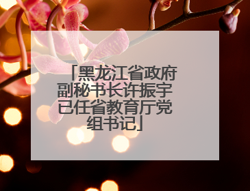 黑龙江省政府副秘书长许振宇已任省教育厅党组书记