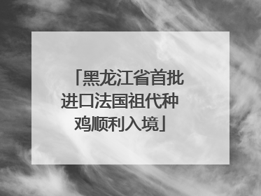 黑龙江省首批进口法国祖代种鸡顺利入境