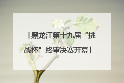 黑龙江第十九届“挑战杯”终审决赛开幕
