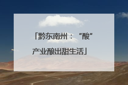 黔东南州：“酸”产业酿出甜生活