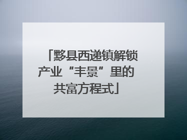 黟县西递镇解锁产业“丰景”里的共富方程式