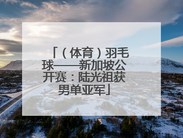 （体育）羽毛球——新加坡公开赛：陆光祖获男单亚军