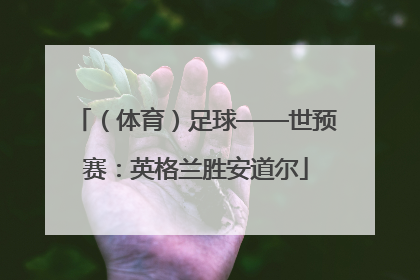 （体育）足球——世预赛：英格兰胜安道尔