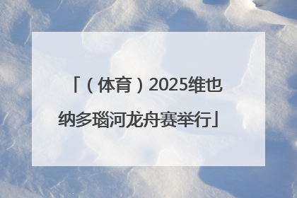 （体育）2025维也纳多瑙河龙舟赛举行
