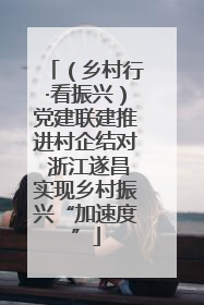 （乡村行·看振兴）党建联建推进村企结对 浙江遂昌实现乡村振兴“加速度”