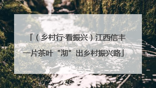 （乡村行·看振兴）江西信丰一片茶叶“沏”出乡村振兴路