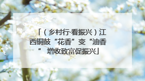 （乡村行·看振兴）江西铜鼓“花香”变“油香” 增收致富促振兴