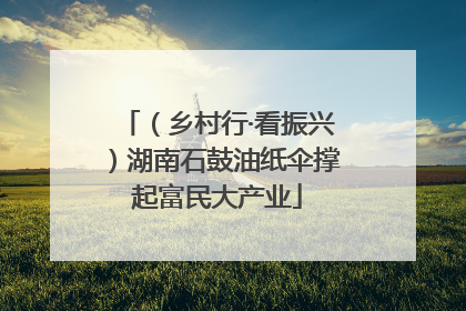 （乡村行·看振兴）湖南石鼓油纸伞撑起富民大产业