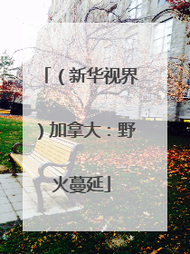 （新华视界）加拿大：野火蔓延