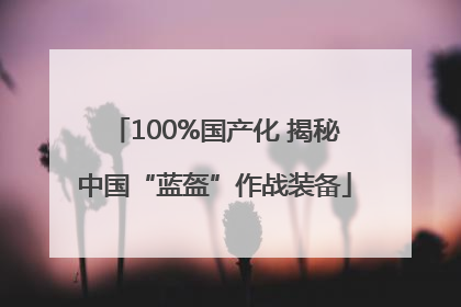 100%国产化 揭秘中国“蓝盔”作战装备