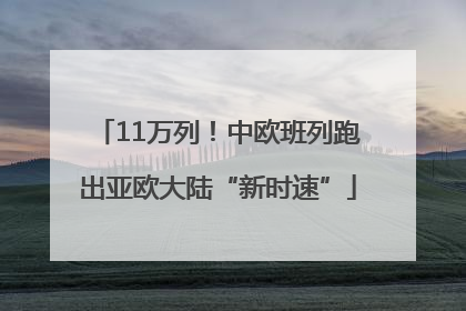 11万列！中欧班列跑出亚欧大陆“新时速”