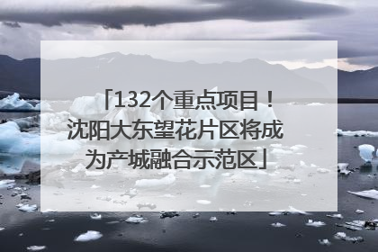 132个重点项目！沈阳大东望花片区将成为产城融合示范区