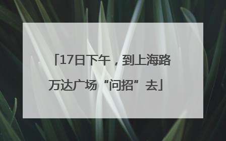 17日下午，到上海路万达广场“问招”去