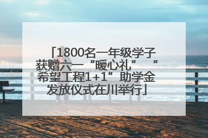 1800名一年级学子获赠六一“暖心礼” “希望工程1+1”助学金发放仪式在川举行