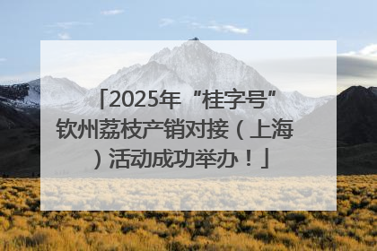 2025年“桂字号”钦州荔枝产销对接（上海）活动成功举办！