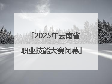 2025年云南省职业技能大赛闭幕